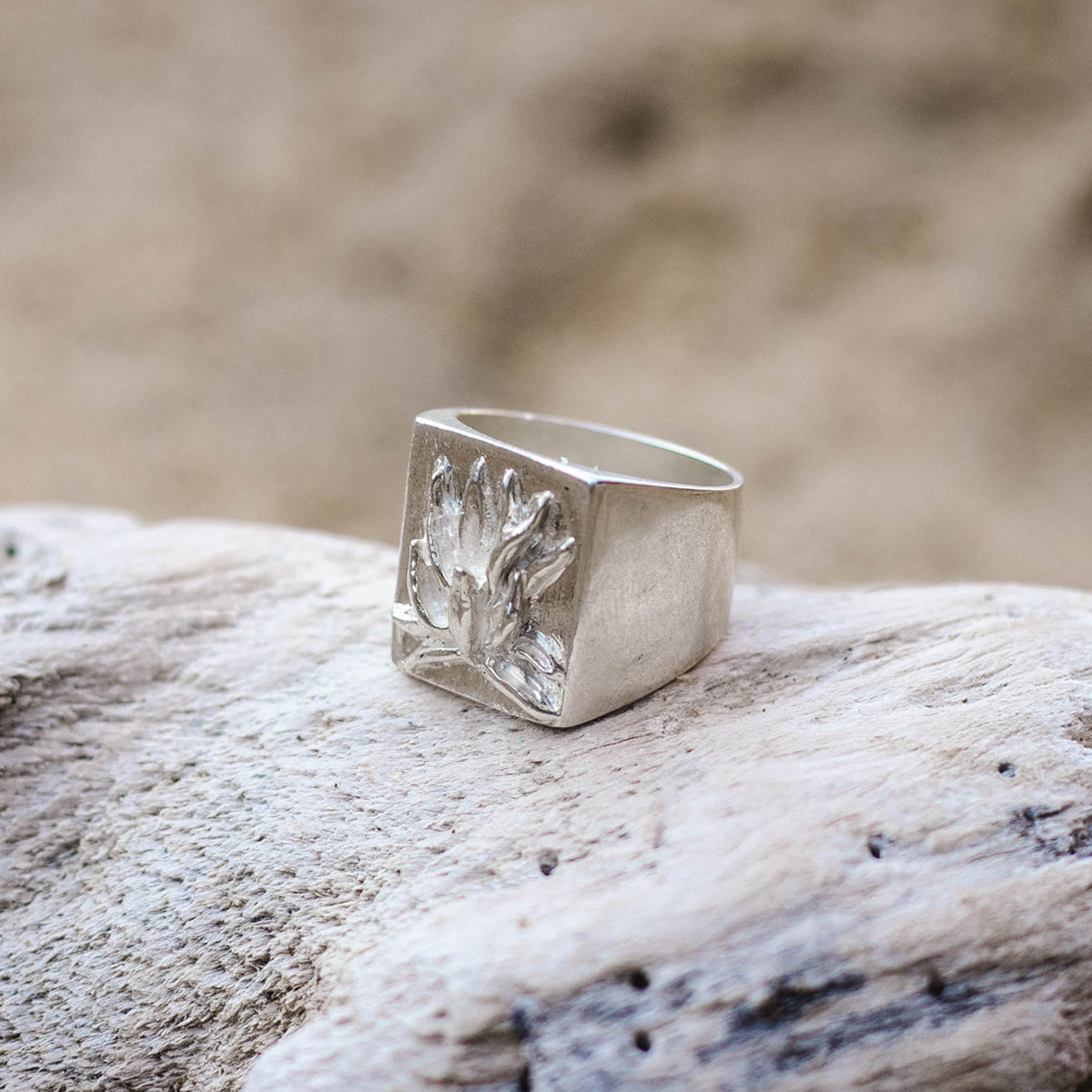 Anillo 1