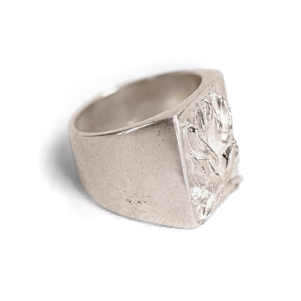 Anillo 1