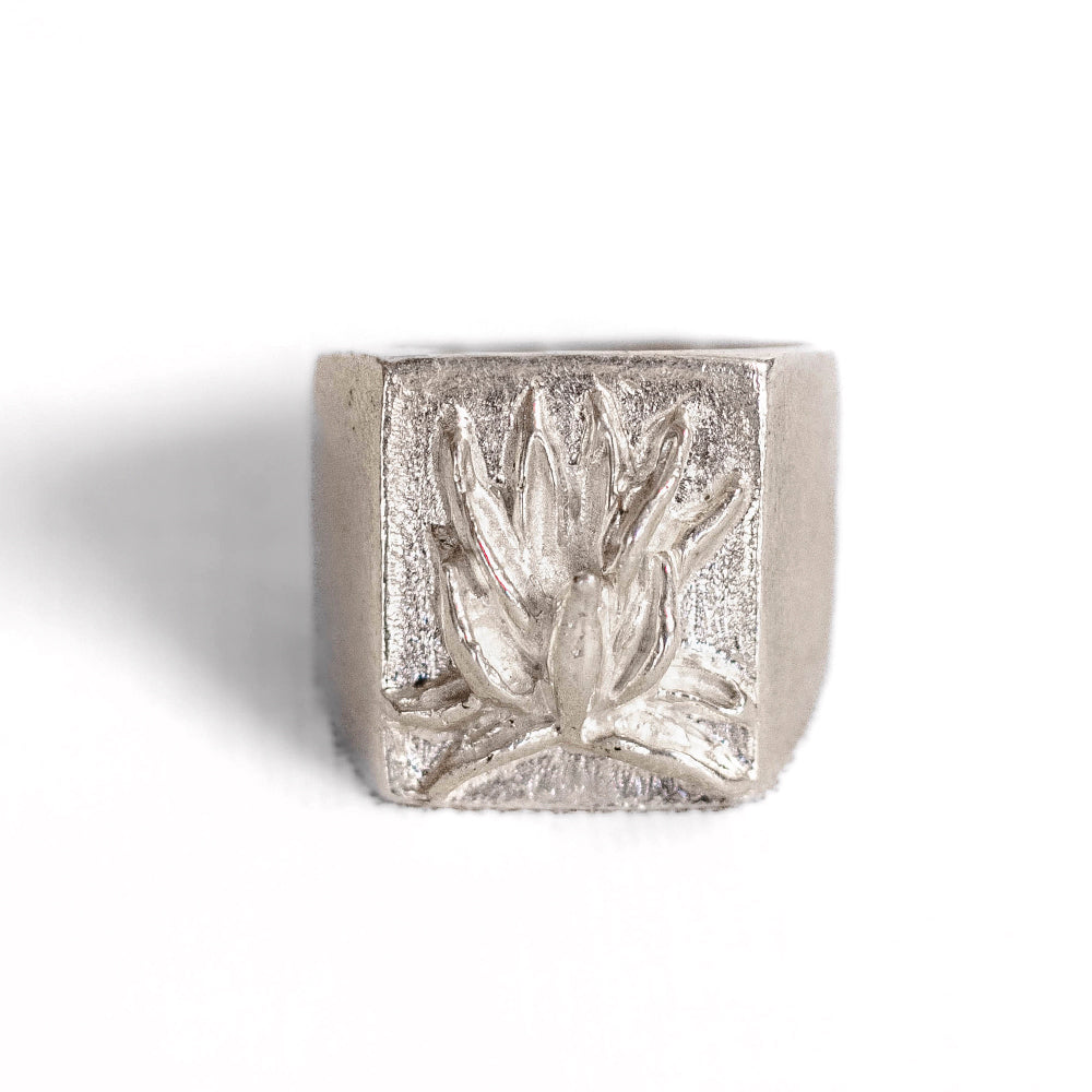 Anillo 1