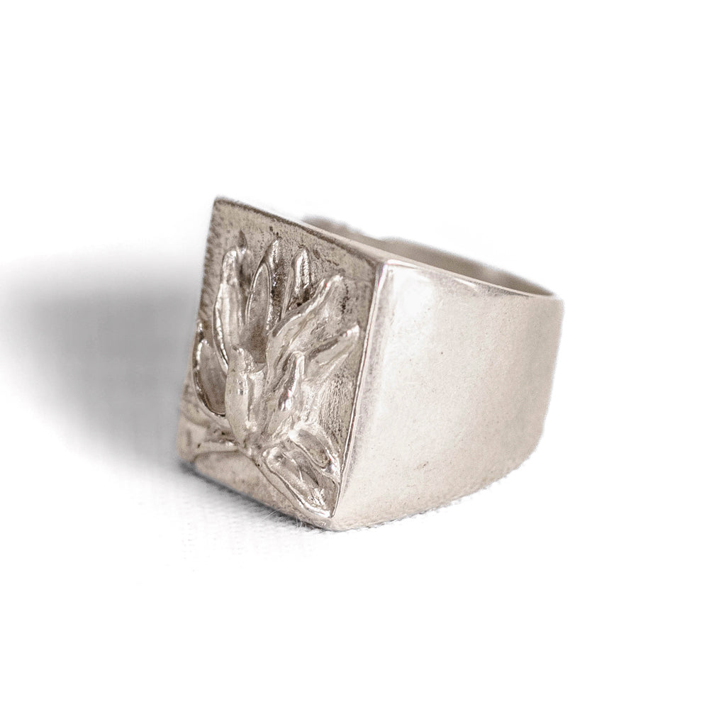 Anillo 1