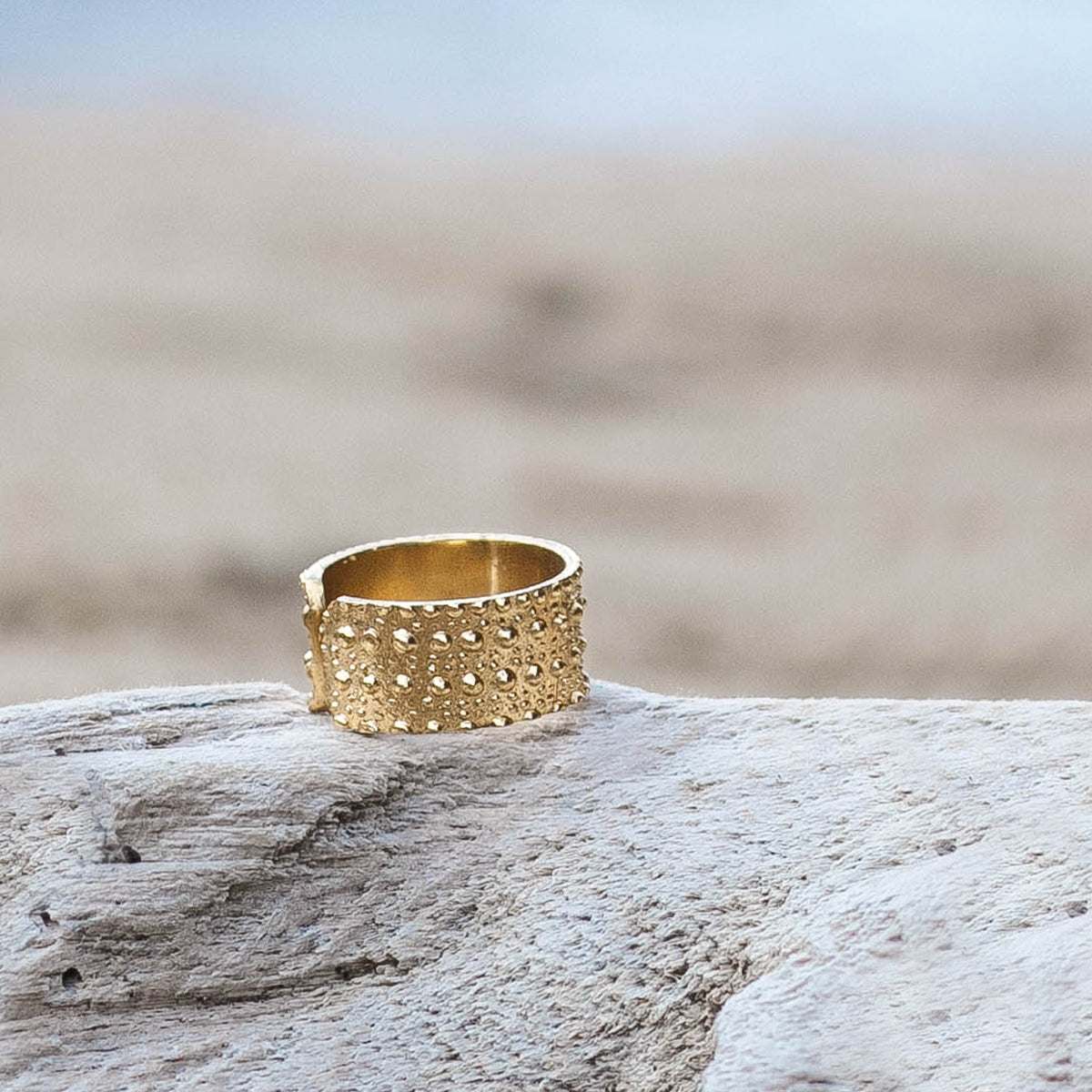 Anillo 2