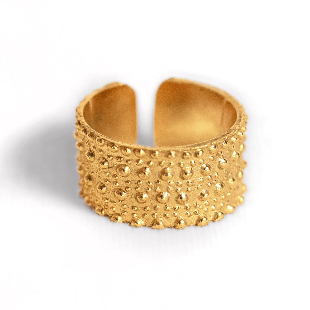 Anillo 2