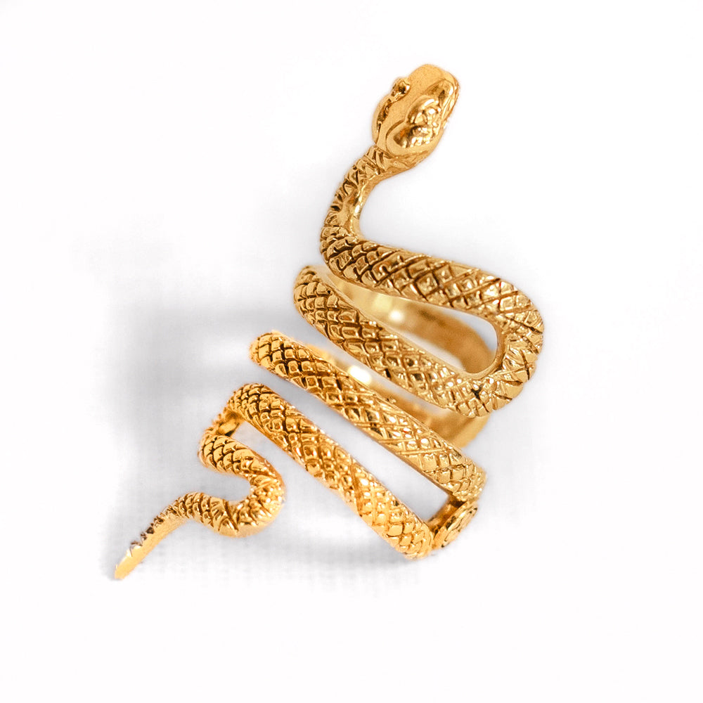 Anillo 3