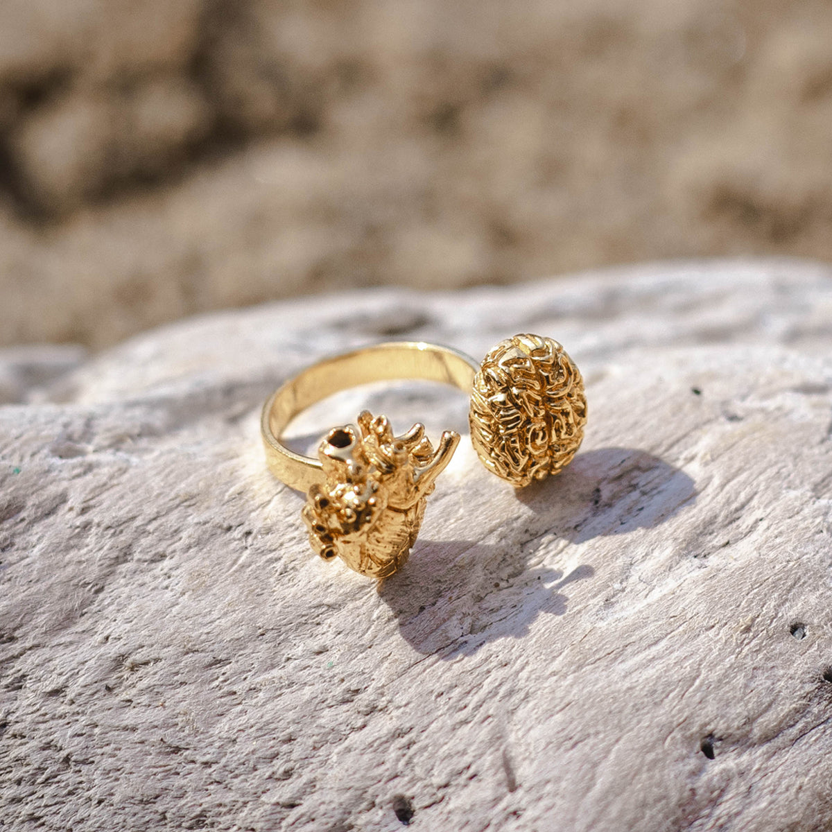 Anillo 4