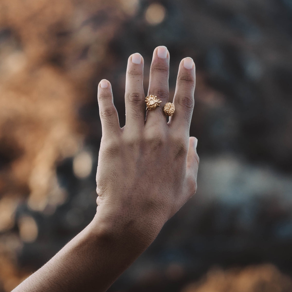 Anillo 4