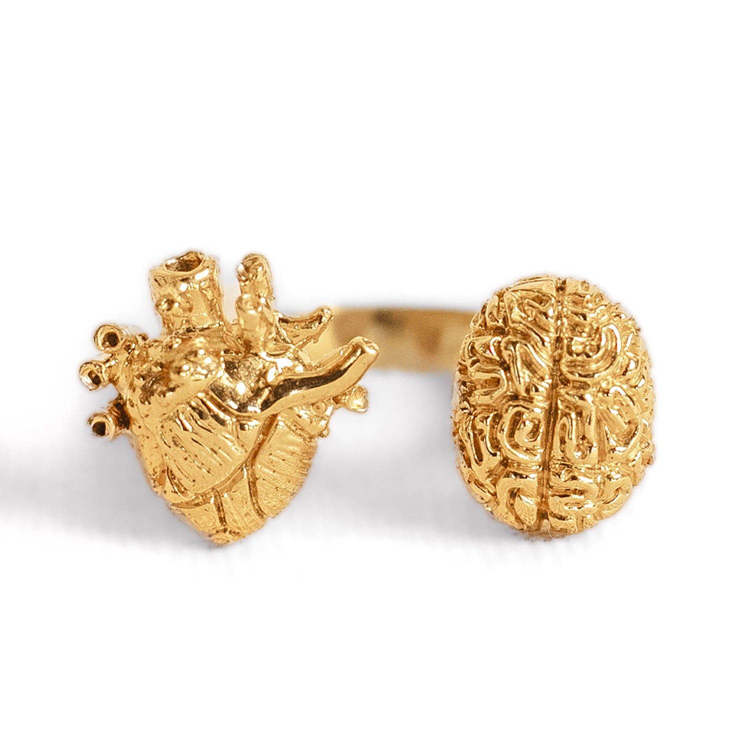 Anillo 4