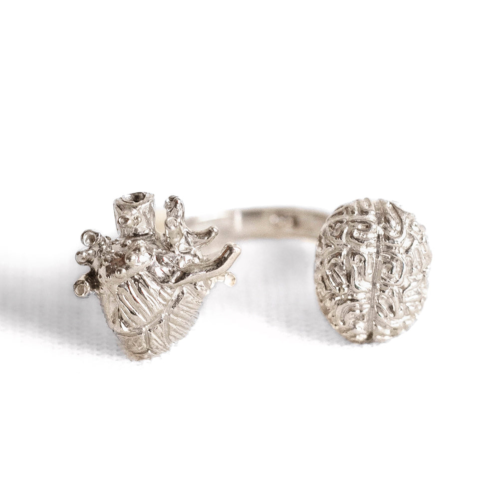 Anillo 5