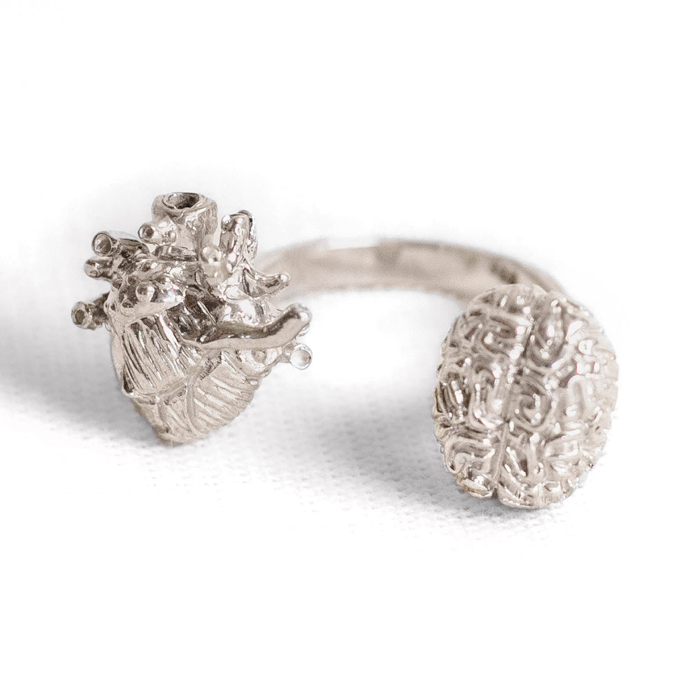 Anillo 5
