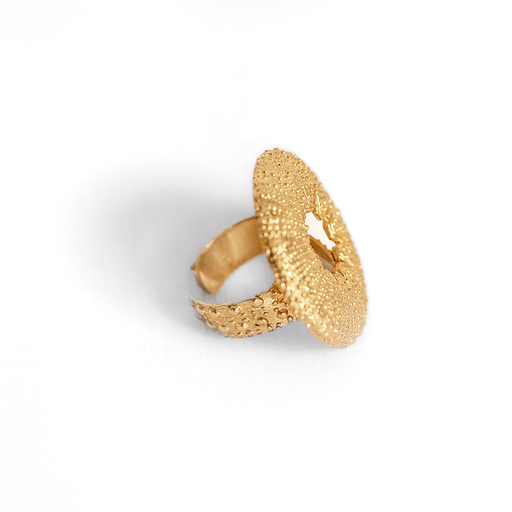 Anillo 6