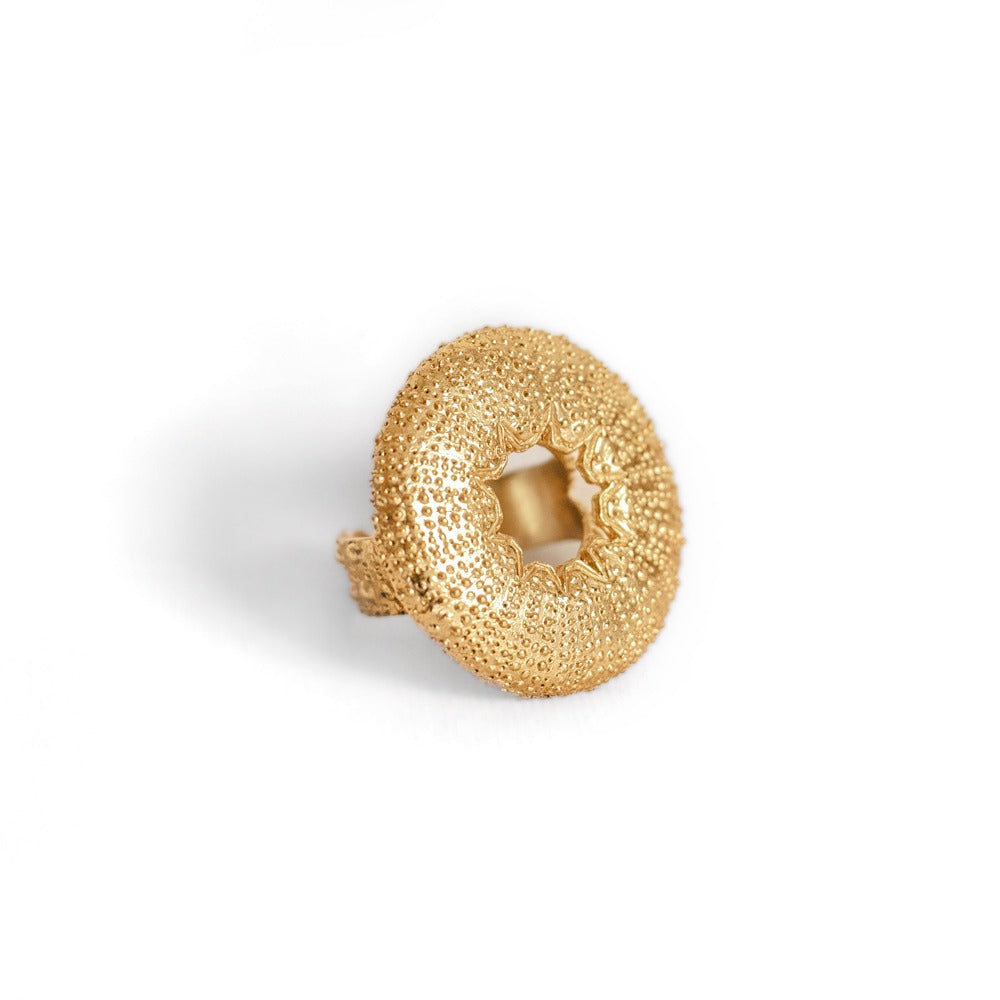 Anillo Mexoni