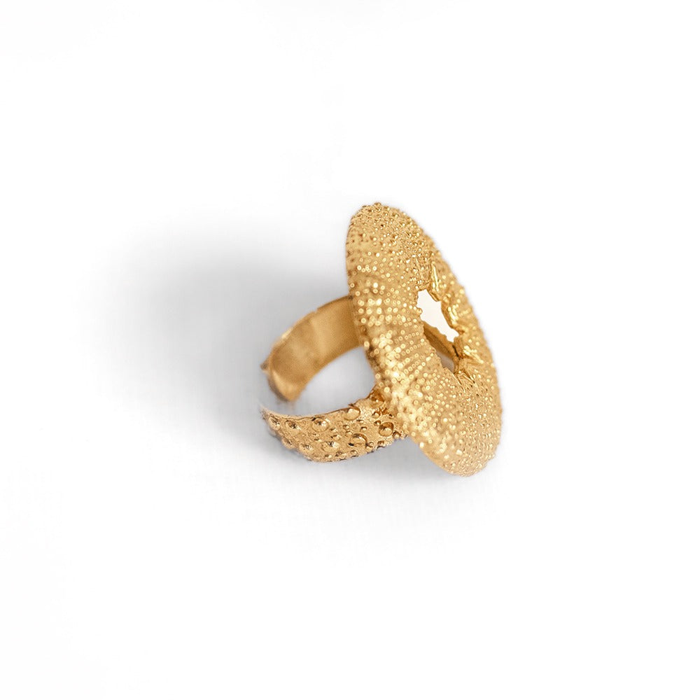 Anillo Mexoni